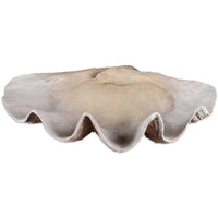 Clam Shell Bowl