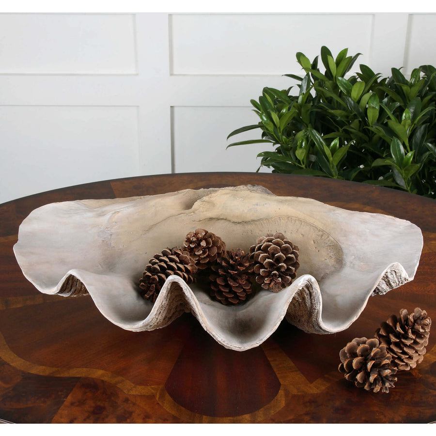 Clam Shell Bowl