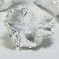 Volcano Flowers, White