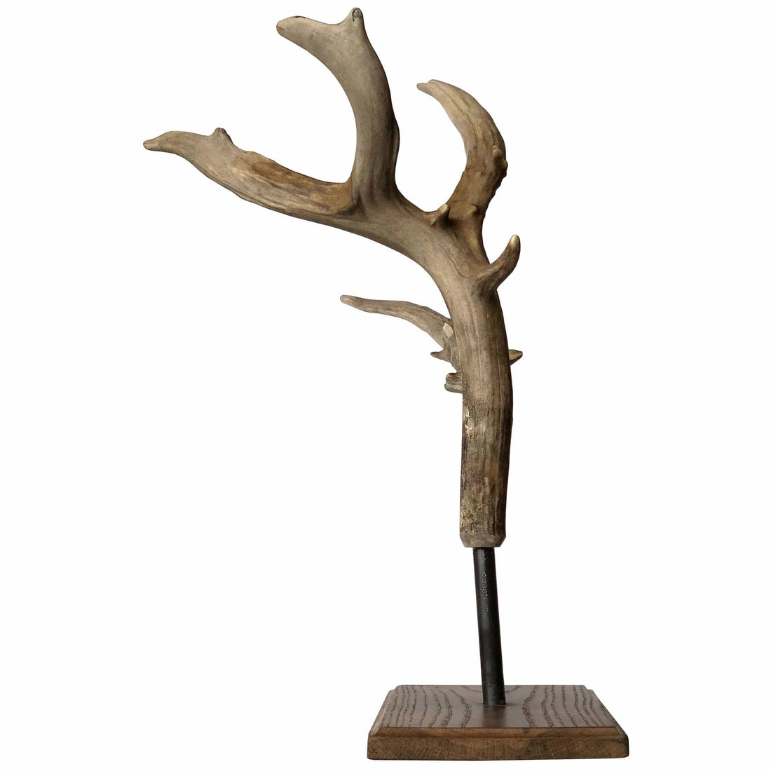 Antler Pedestal, Large